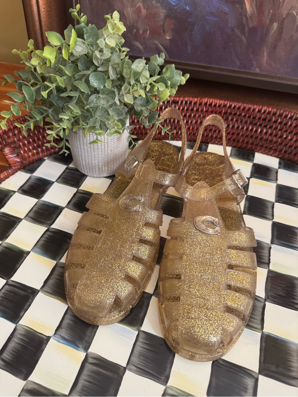 Coach Gold Glitter Jelly Fisherman Sandals Size 9